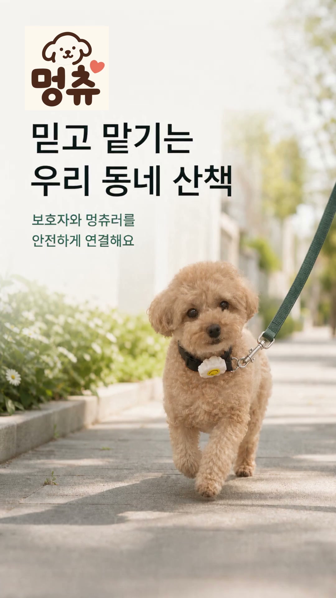 멍츄 브랜드 광고 미리보기